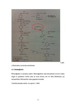 Referāts 'Albīnisms', 9.