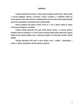 Referāts 'Mūzikas apguves iespējas jauniešiem Rīgā', 2.