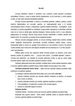 Referāts 'Mūzikas apguves iespējas jauniešiem Rīgā', 5.