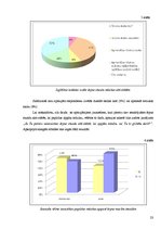 Referāts 'Mūzikas apguves iespējas jauniešiem Rīgā', 23.