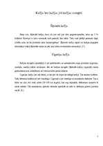 Referāts 'Kafija un tās ietekme uz cilvēka veselību', 8.