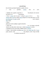 Prakses atskaite 'Integrētās mācību prakses sākumskolā atskaite', 10.