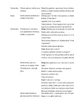 Prakses atskaite 'Integrētās mācību prakses sākumskolā atskaite', 13.