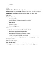 Prakses atskaite 'Integrētās mācību prakses sākumskolā atskaite', 16.