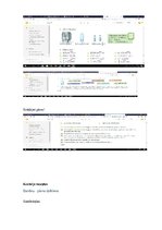 Prakses atskaite 'Integrētās mācību prakses sākumskolā atskaite', 22.