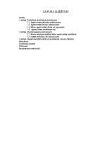 Referāts 'Bērna agresivitāte un tās novēršanas iespējas', 2.