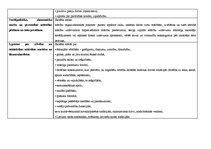 Konspekts 'Tematiskais plānojums 4.klasei', 2.