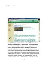 Referāts 'E-komercijas biznesa modeļi Latvijas web lapās', 35.