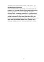 Referāts 'E-komercijas biznesa modeļi Latvijas web lapās', 40.