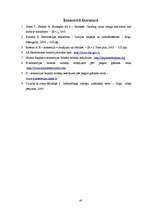 Referāts 'E-komercijas biznesa modeļi Latvijas web lapās', 45.