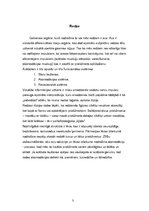 Referāts 'Maņu orgāni', 3.