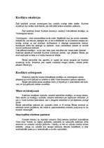 Konspekts 'Konflikta analīze', 3.