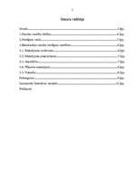 Konspekts 'Norēķinu attiecības saistību tiesībās', 2.