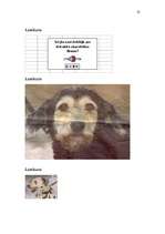 Referāts 'Klaiņojoši suņi', 22.