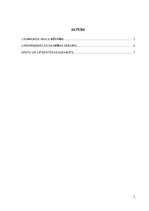 Referāts 'Pirmie 30 gadi Raimonda Paula dzīvē', 2.