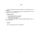 Referāts 'Optiskās ilūzijas', 3.