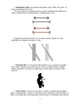 Referāts 'Optiskās ilūzijas', 5.