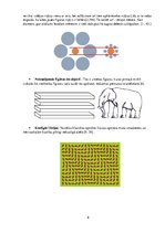 Referāts 'Optiskās ilūzijas', 6.