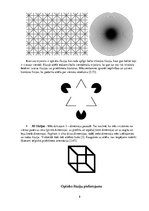 Referāts 'Optiskās ilūzijas', 8.