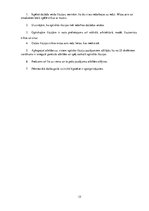 Referāts 'Optiskās ilūzijas', 15.