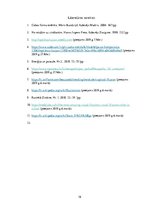 Referāts 'Optiskās ilūzijas', 16.