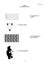 Referāts 'Optiskās ilūzijas', 17.