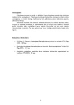 Referāts 'Plānošanā izmantojamās metodes un to pielietošana būvniecībā', 22.