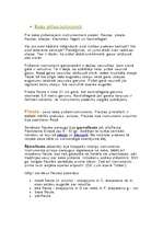 Konspekts 'Pūšaminstrumenti (koka)', 1.