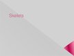 Prezentācija 'Skelets', 1.