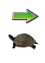 Konspekts 'Skaņas "b" artikulēšana', 15.