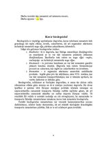 Referāts 'Biodegviela', 4.