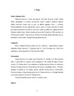 Referāts 'Torņakalns', 5.