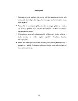 Referāts 'Torņakalns', 12.