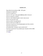 Referāts 'Torņakalns', 17.