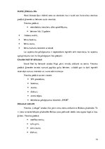 Konspekts 'Bērnu aprūpes pakalpojumu sniegšanas iespējas viesnīcās', 16.