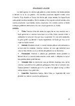 Konspekts 'Bērnu aprūpes pakalpojumu sniegšanas iespējas viesnīcās', 29.