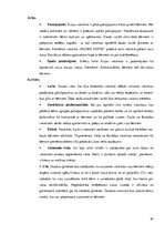 Konspekts 'Bērnu aprūpes pakalpojumu sniegšanas iespējas viesnīcās', 30.