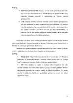 Konspekts 'Bērnu aprūpes pakalpojumu sniegšanas iespējas viesnīcās', 31.