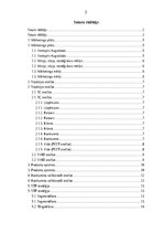 Biznesa plāns 'Mārkeitnga plāns', 2.