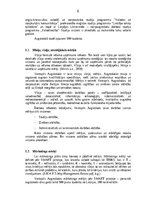 Biznesa plāns 'Mārkeitnga plāns', 6.