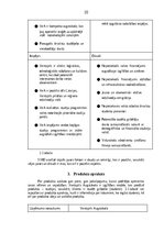 Biznesa plāns 'Mārkeitnga plāns', 10.