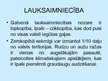 Prezentācija 'Zviedrija', 9.