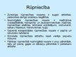 Prezentācija 'Zviedrija', 10.