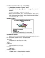 Referāts 'Latvijas, Kanādas un Dānijas ekonomikas izaugsmes salīdzinoša analīze uz ražošan', 11.