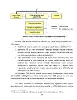Diplomdarbs 'Latvijas civilās aviācijas tiesiskā reglamentācija, problemātika un attīstības t', 24.