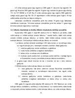 Diplomdarbs 'Latvijas civilās aviācijas tiesiskā reglamentācija, problemātika un attīstības t', 36.