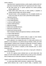 Prakses atskaite 'Personāla psiholoģijas prakses uzdevumi', 18.