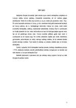 Referāts 'Nodokļu maksāšanas politika nerezidentiem Īrijā', 3.