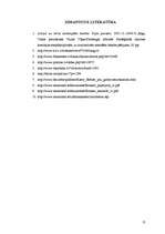 Referāts 'Nodokļu maksāšanas politika nerezidentiem Īrijā', 12.