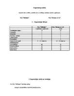 Referāts 'Divu mēbeļu ražošanas uzņēmumu salīdzinājums', 1.